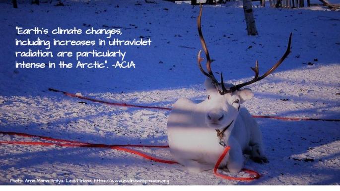 Arctic (35).jpg