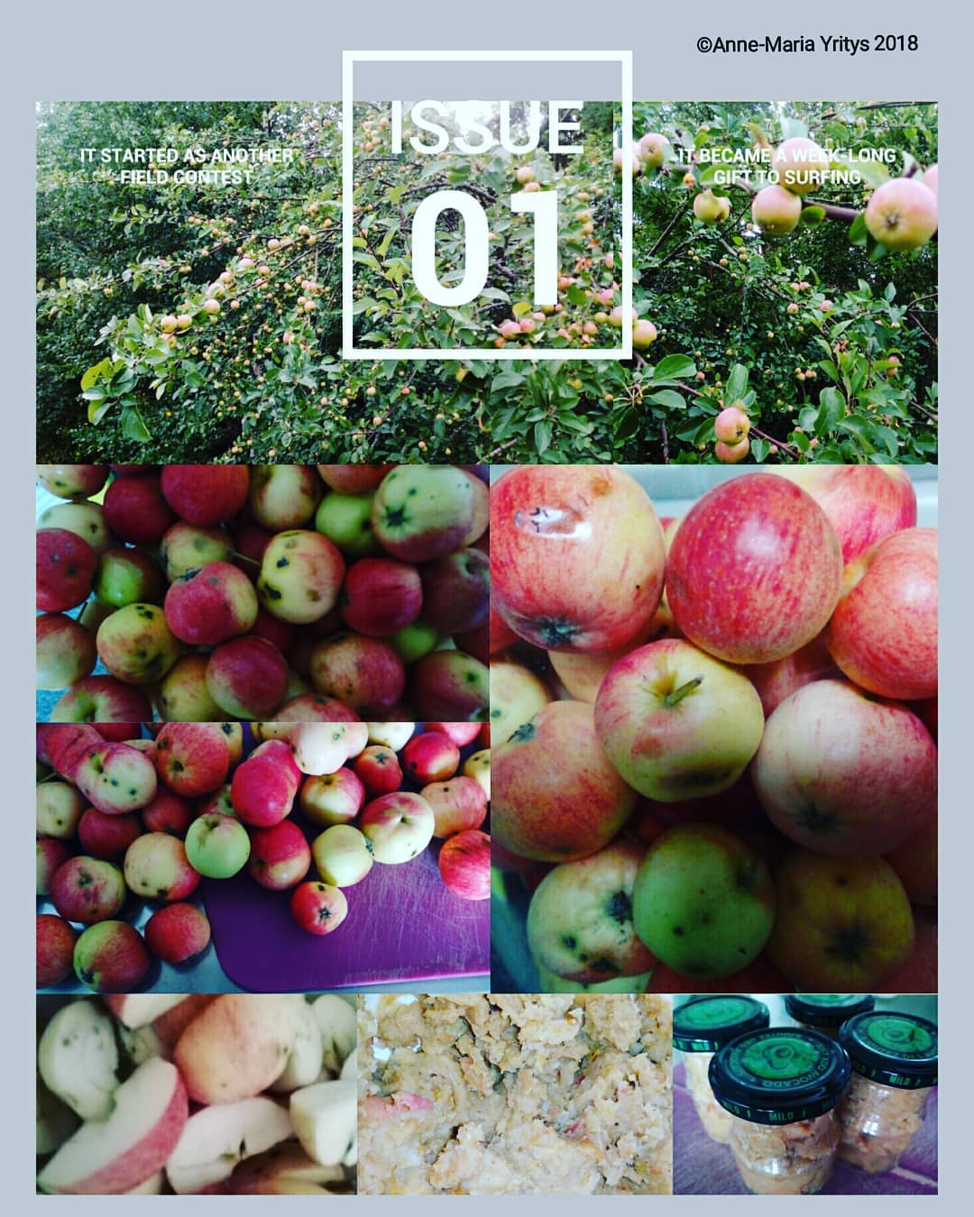 Organic apples by Anne-Maria Yritys