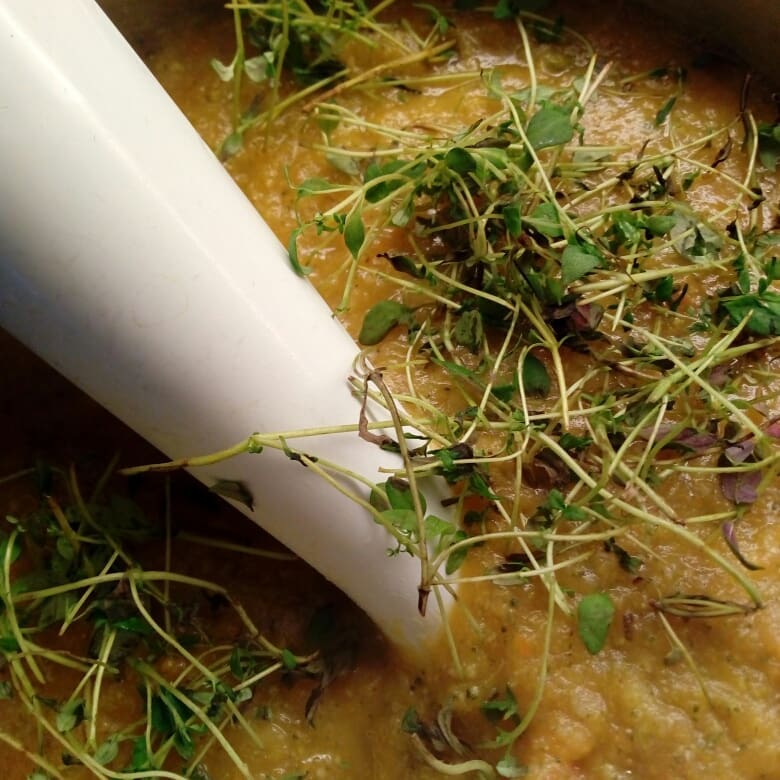 Environmentally friendly vegetable soup