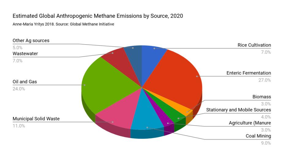 Estimated Global Methane Emissions 2020